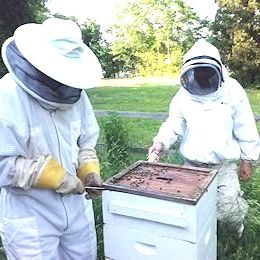 Norfolk Beekeepers Association